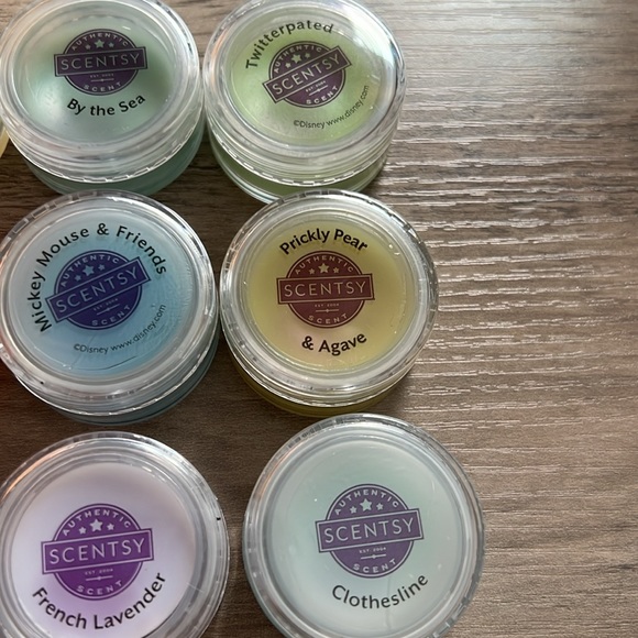 Scentsy mini sample testers + sample bags - Picture 5 of 12